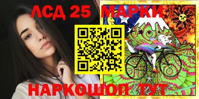 PSILOCYBIN Будённовск